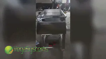 Калибровочный вибростол Vega VibroSorting table 1500, калибровка ягод
