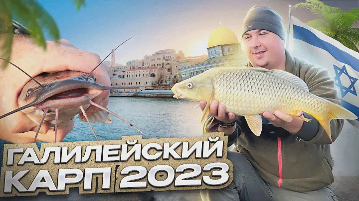 ЛОВЛЯ КАРПА НА ГАЛИЛЕЙСКОМ МОРЕ! Открытие сезона 2023🔥
