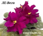 ЛЕ-Вега (Е.Лебецкая)