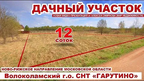 12 соток в снт Гарутино Волоколамского г.о.  Московской области