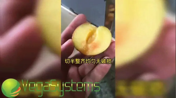 Удаление косточек абрикоса, сливы Vega Cherry Pitting 1000