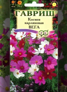 Космея карликовая Вега (0,5 г)-1