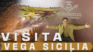 VISITO la MEJOR BODEGA de VINO del MUNDO🍷VEGA SICILIA
