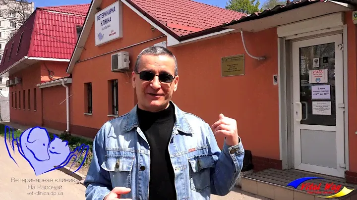 Ветеринарная клиника "На Рабочей" / полный видео обзор