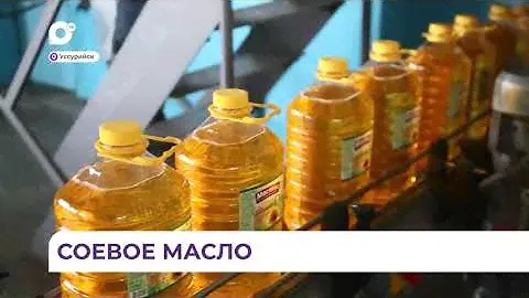 Сделано в Приморье: масло соевое | Русагро Масло