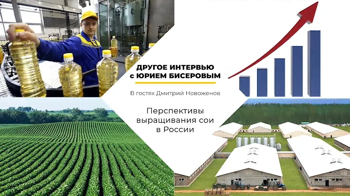 Зачем выращивать сою в России, переработка соевого масла (Дмитрий Новоженов)