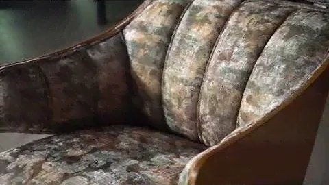 Vega Sofa Set