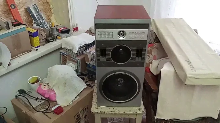 Прикупил себе новые колонки  , Вега 50АС-104  1991 год